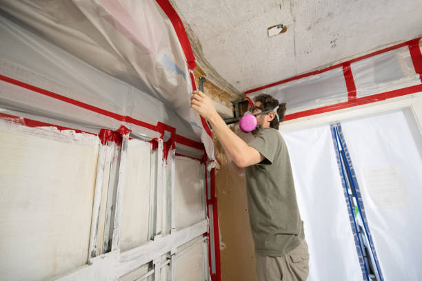 Best Real Estate Mold Inspection  in Wahese, NC